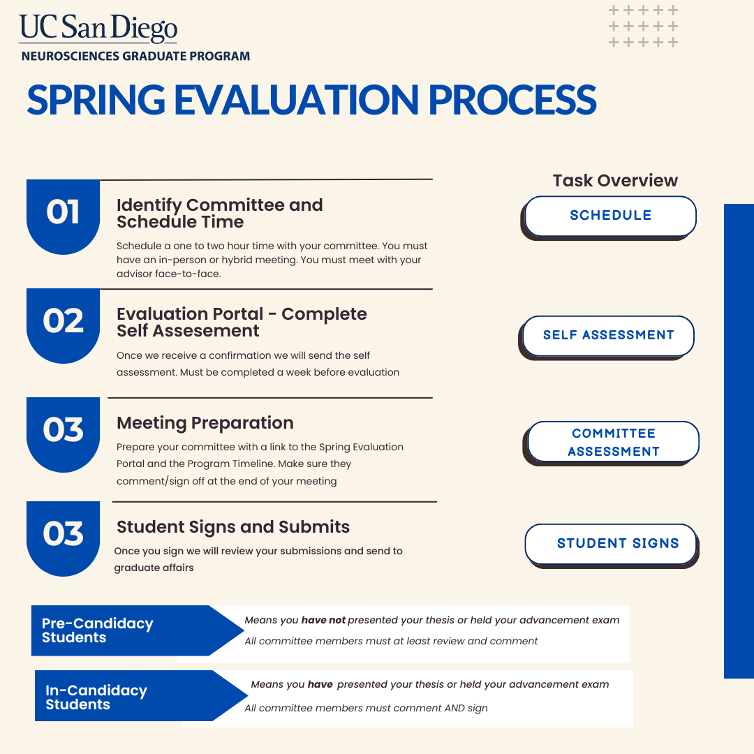 Spring evaluation 